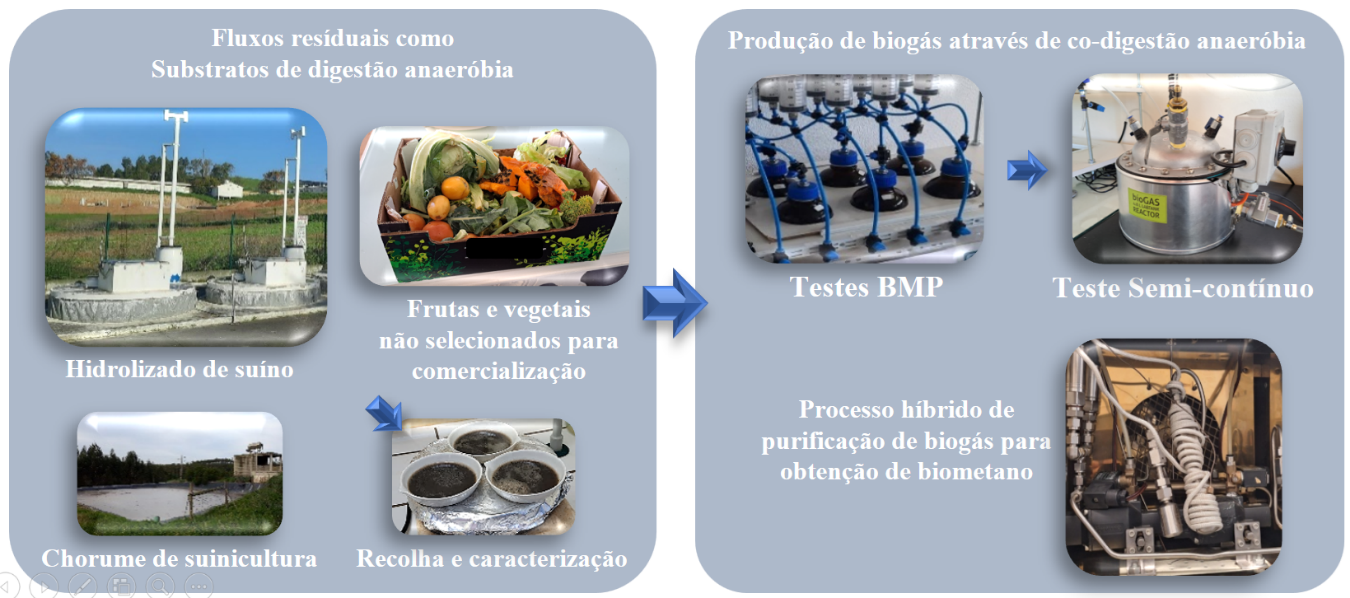 Codigestão